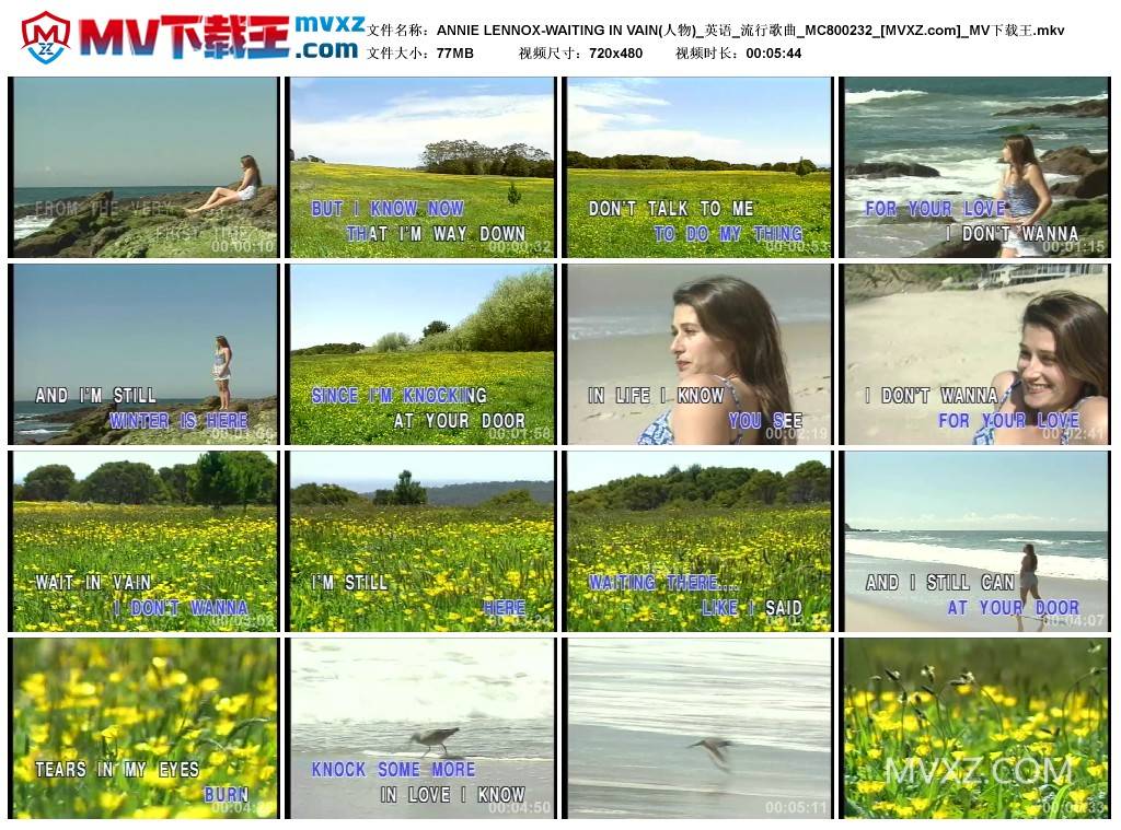 ANNIE LENNOX-WAITING IN VAIN(人物)_英语_流行歌曲_MC800232